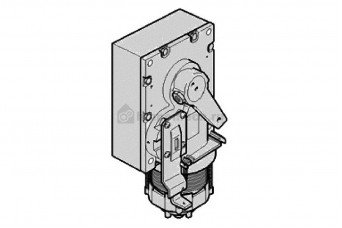 Моторедуктор G2500 119RIG201